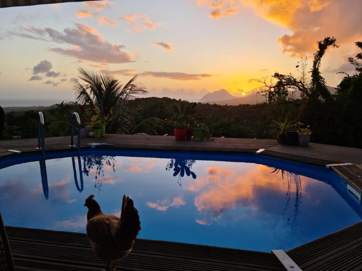 Chambre Chez L'Habitant Avec Piscine Privative Et Vue Panoramique Sur La Mer Des Caraibes Desmarinieres Buitenkant foto